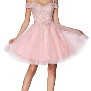 ladivine-cd0132-cocktail-dresses-xs-blush-31325723394131_720x (1)